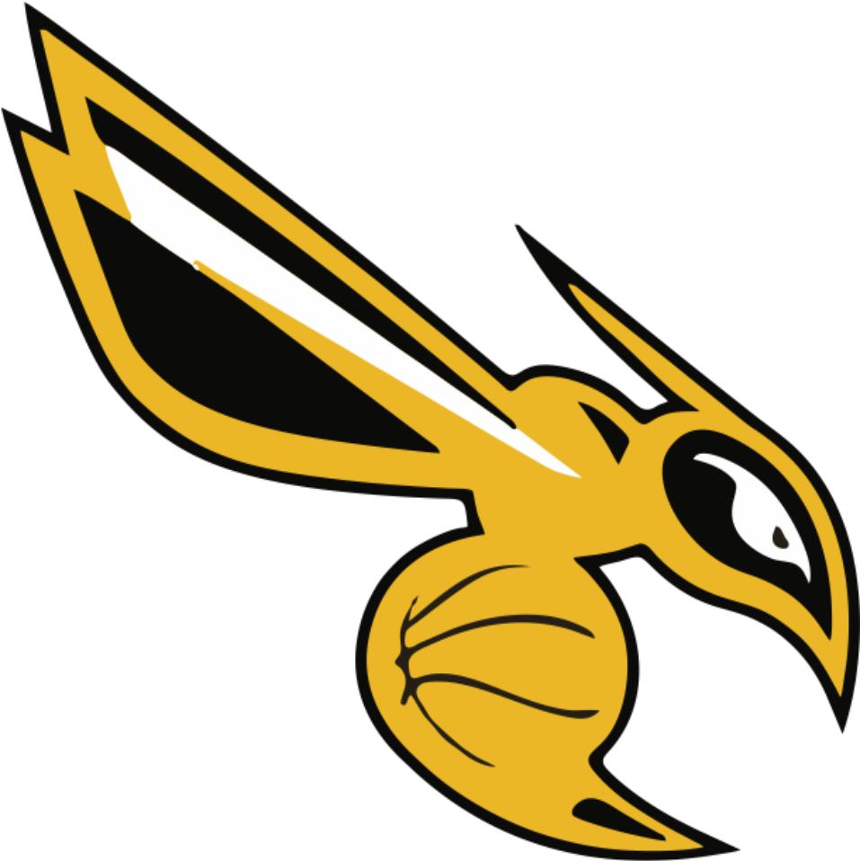 Stingers Basketball Club